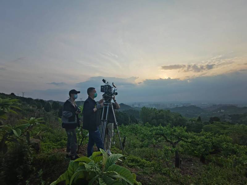创意破圈！惠来县电商产品宣传视频用故事化叙事引爆流量